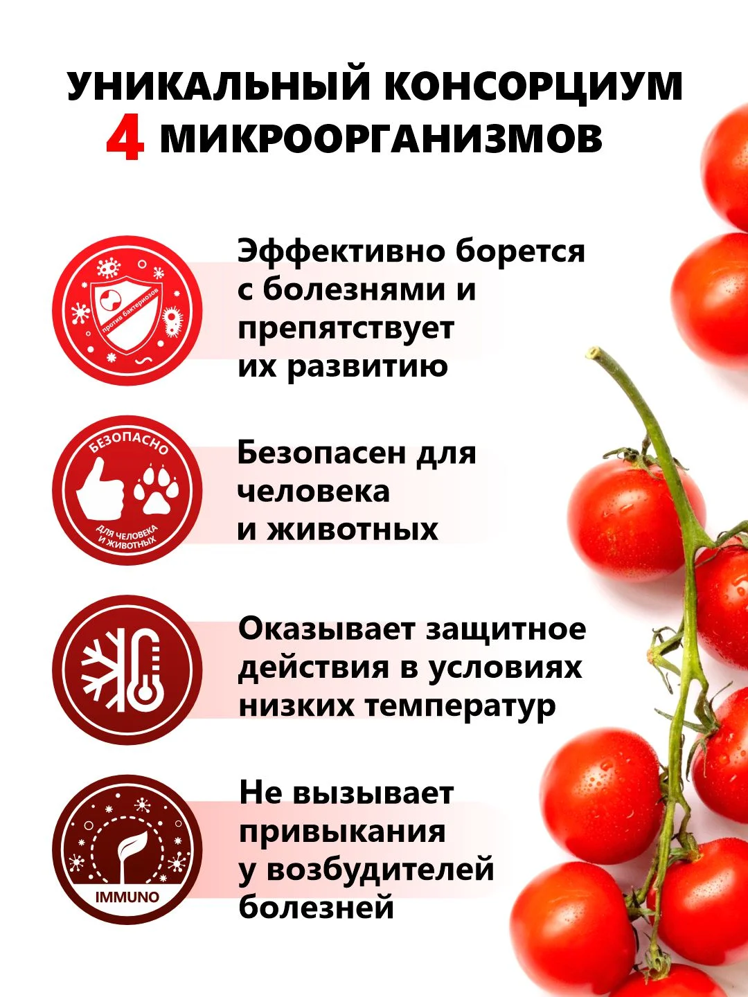 Агробиовит PROмидор от болезней семейства пасленовых