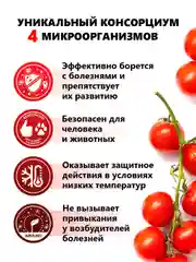 Агробиовит PROмидор от болезней семейства пасленовых