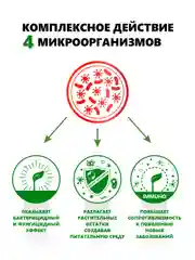 Агробиовит Огурчист от болезней семейства тыквенных