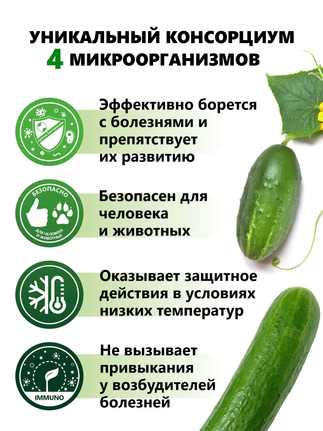 Агробиовит Огурчист от болезней семейства тыквенных