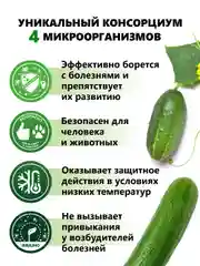 Агробиовит Огурчист от болезней семейства тыквенных
