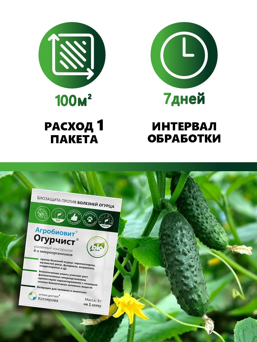 Агробиовит Огурчист от болезней семейства тыквенных