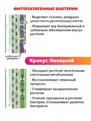 Крокус Овощной, комплексная защита и стимулятор роста