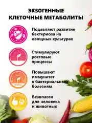 Крокус Овощной, комплексная защита и стимулятор роста