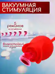 Вибратор, Вакуумно-волновой вибратор / Клиторальный стимулятор Роза 2в1