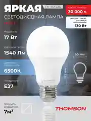 Лампочка светодиодная THOMSON TH-B2306 17 Вт, E27, А65, груша, 6500K холодный белый свет