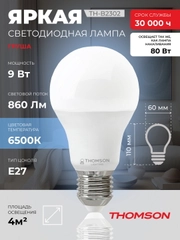 Лампочка светодиодная THOMSON TH-B2302 9 Вт, E27, А60, груша, 6500K холодный белый свет