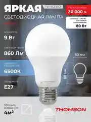 Лампочка светодиодная THOMSON TH-B2302 9 Вт, E27, А60, груша, 6500K холодный белый свет