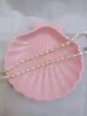 Розовый подставка декоративная Ракушка