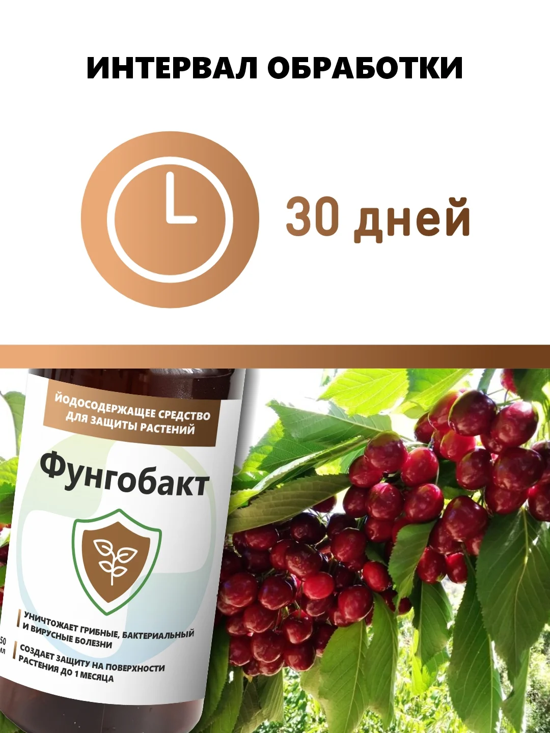 Фунгобакт, йодсодержащий препарат от болезней растений
