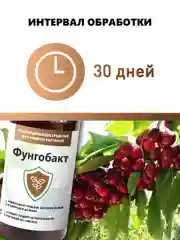 Фунгобакт, йодсодержащий препарат от болезней растений