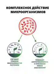 Крокет Прогресс, удобрение для начальных этапов развития растения и рассады