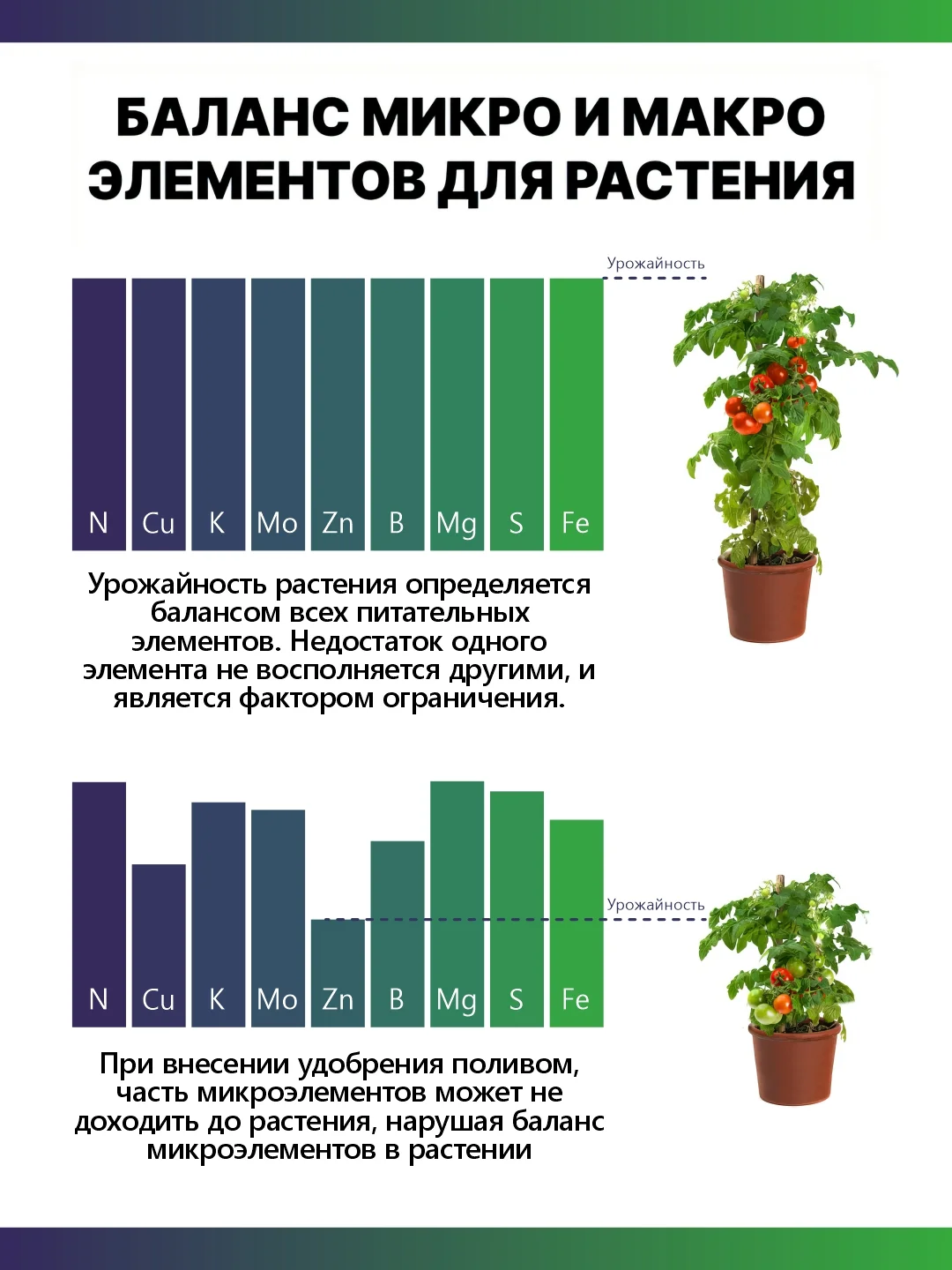 Крокет Прогресс, удобрение для начальных этапов развития растения и рассады