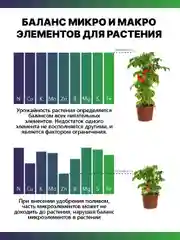 Крокет Прогресс, удобрение для начальных этапов развития растения и рассады