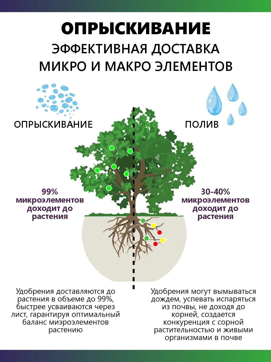 Крокет Прогресс, удобрение для начальных этапов развития растения и рассады