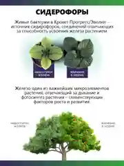 Крокет Прогресс, удобрение для начальных этапов развития растения и рассады