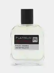 Туалетная вода для мужчин "Pro-Energy Platinum", 100 мл