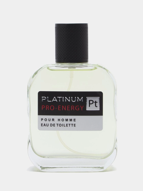 Туалетная вода для мужчин "Pro-Energy Platinum", 100 мл