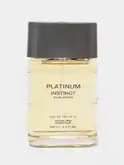Туалетная вода мужская Instinct Platinum, 100 мл