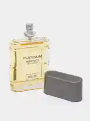 Туалетная вода мужская Instinct Platinum, 100 мл