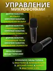 Беспроводная портативная Bluetooth караоке колонка с микрофонами, с LED подстветкой