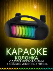 Беспроводная портативная Bluetooth караоке колонка с микрофонами, с LED подстветкой