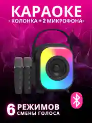 Черный беспроводная портативная караоке колонка с микрофонами, Bluetooth колонка с LED подсветкой