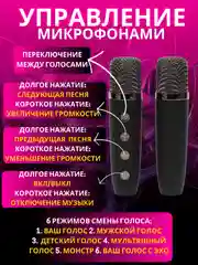 Белый беспроводная портативная караоке колонка с микрофонами, Bluetooth колонка с LED подсветкой