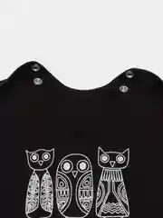 Боди