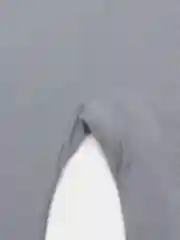 Серый ползунки