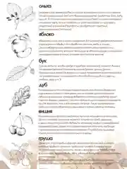 Щепа для копчения Зажигай "Дуб", "Бук", "Вишня", "Груша", "Яблоня", Ольха 1,2 л