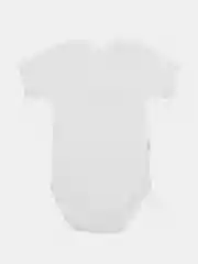 Боди