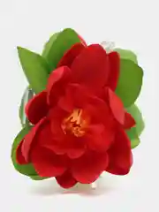 Белый заколка