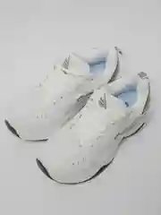 Белый женские кроссовки с логотипом Nike m2k tekno