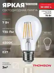 Лампочка светодиодная филамент. THOMSON TH-B2060 7 Вт, E27, А60, груша, 4500K дневной свет