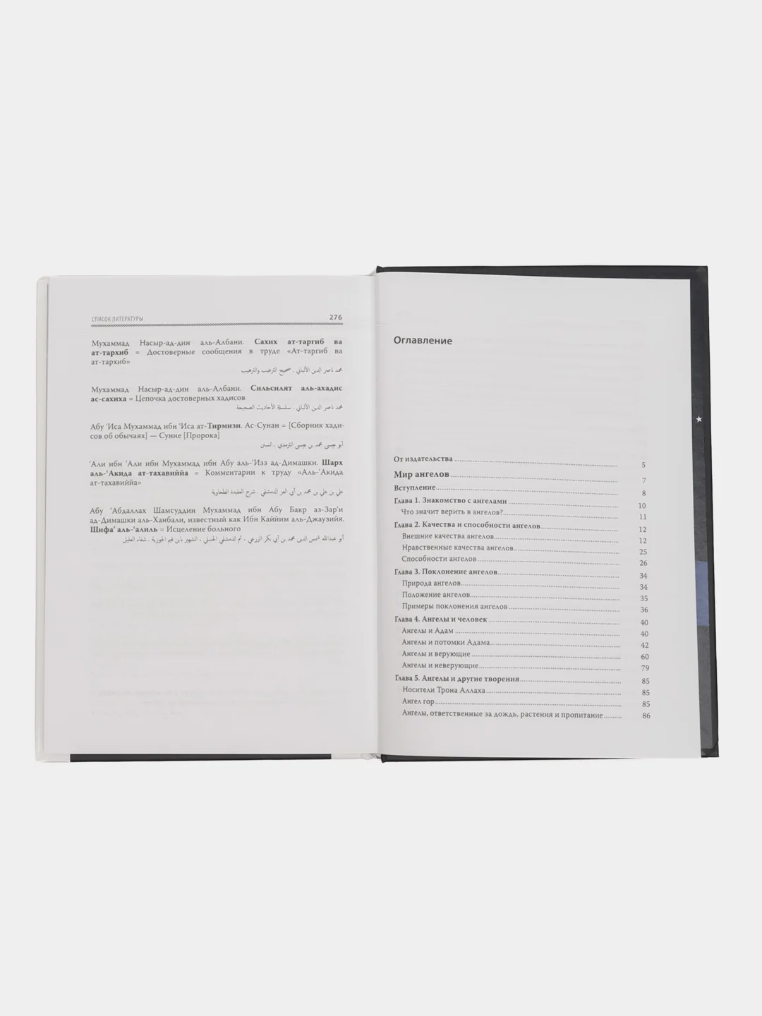 Книга "Скрытые миры", Умма