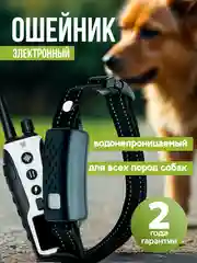 Белый электронный ошейник для дрессировки собак / Электроошейник