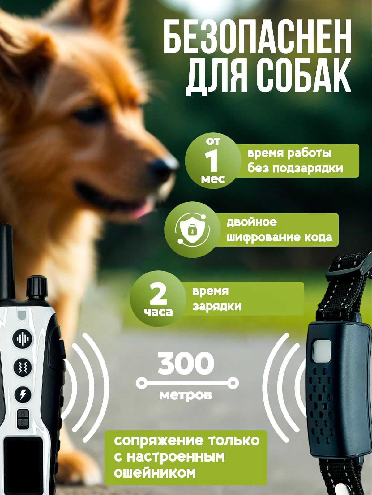 Белый электронный ошейник для дрессировки собак / Электроошейник