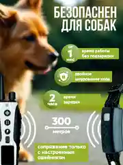 Белый электронный ошейник для дрессировки собак / Электроошейник