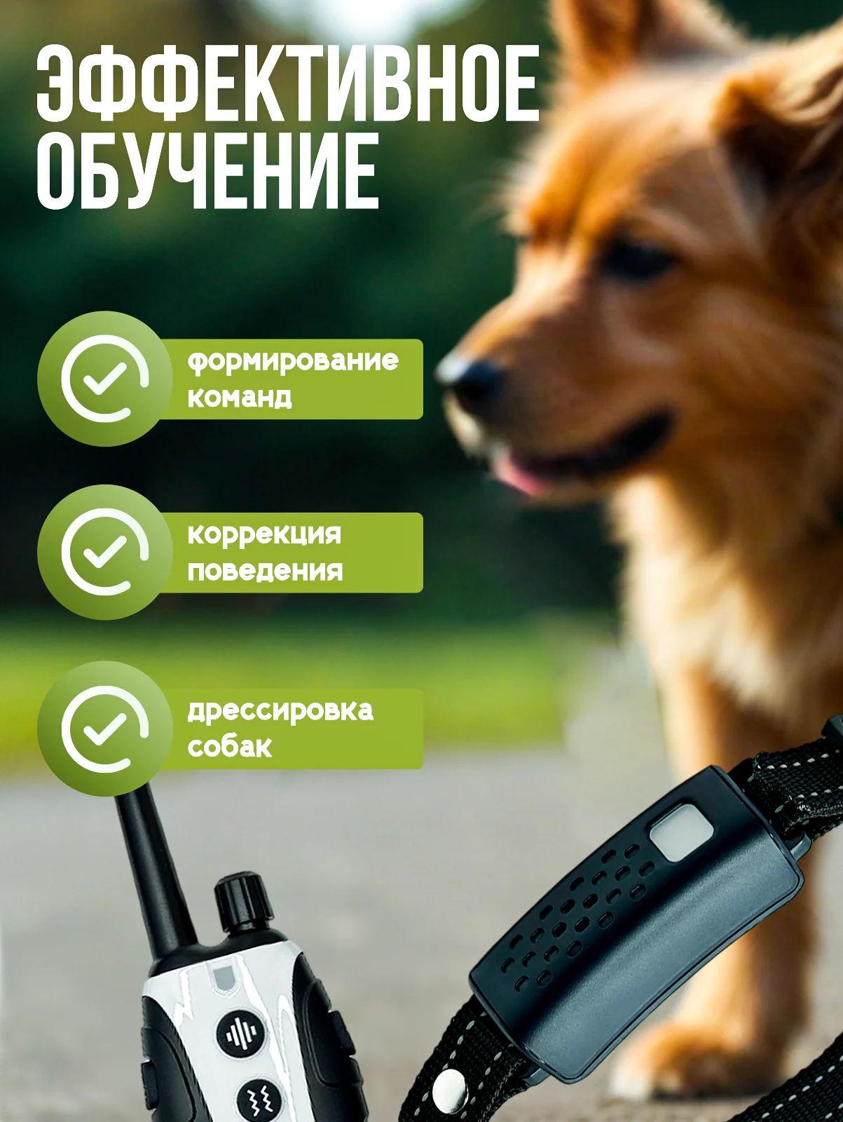 Белый электронный ошейник для дрессировки собак / Электроошейник