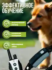 Белый электронный ошейник для дрессировки собак / Электроошейник
