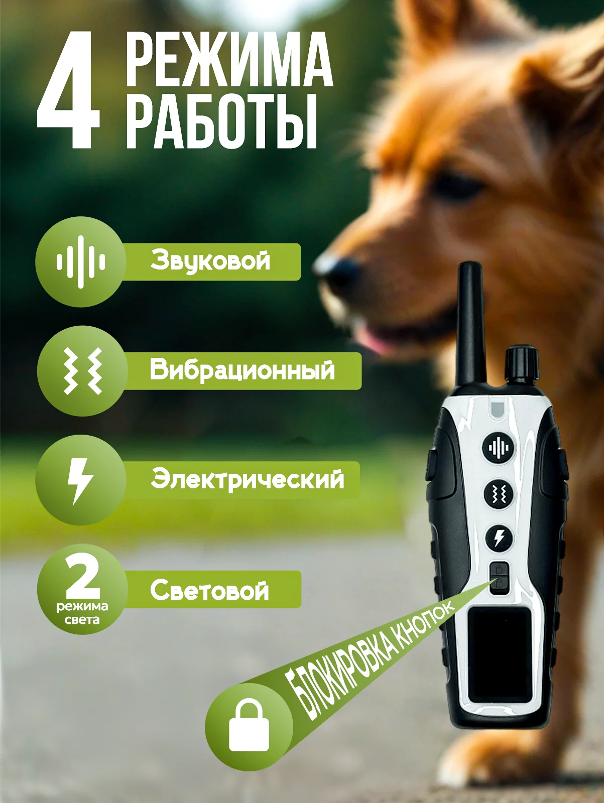 Белый электронный ошейник для дрессировки собак / Электроошейник