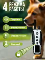 Белый электронный ошейник для дрессировки собак / Электроошейник