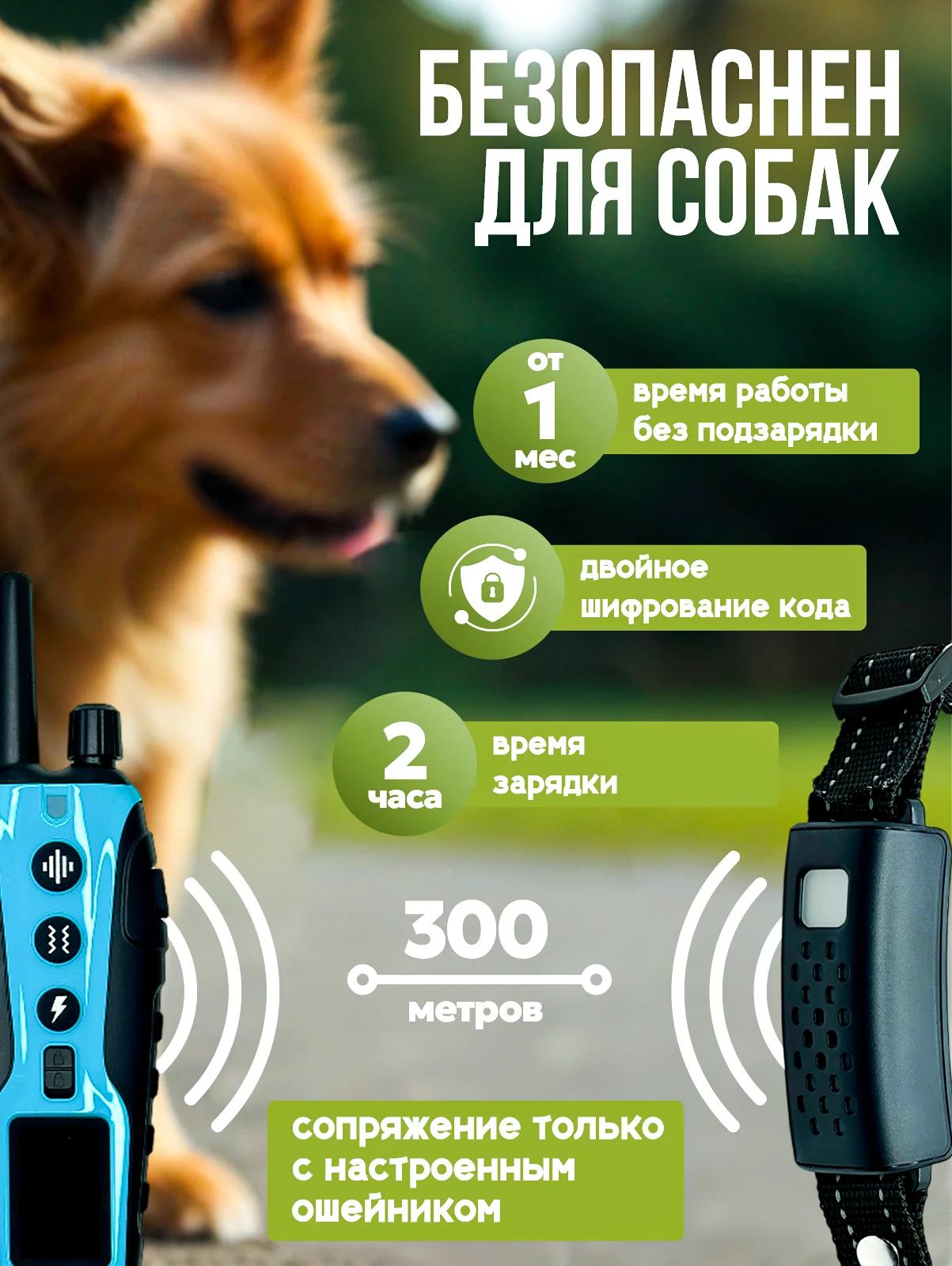 Голубой электронный ошейник для дрессировки собак / Электроошейник