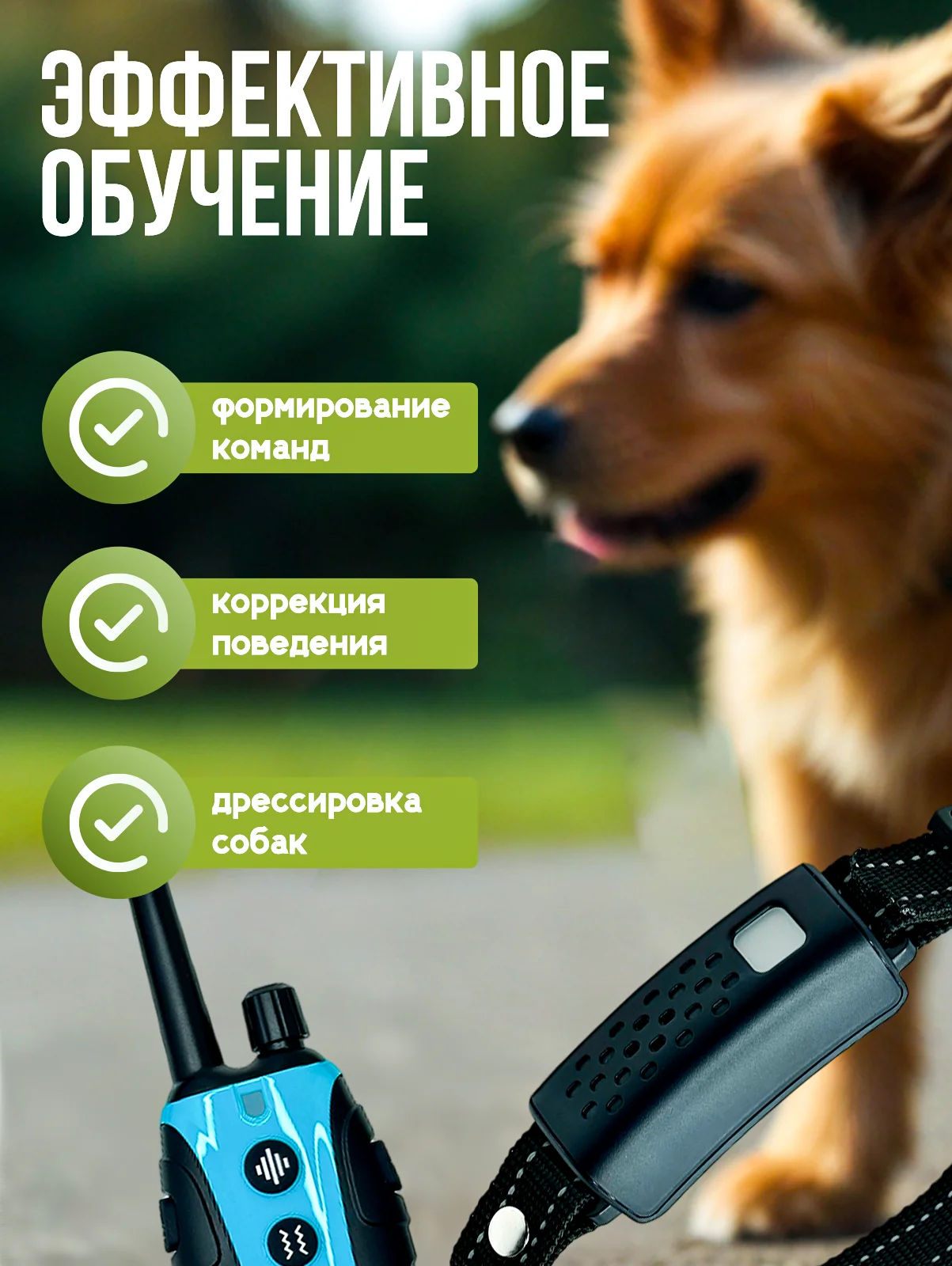 Голубой электронный ошейник для дрессировки собак / Электроошейник