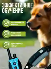 Голубой электронный ошейник для дрессировки собак / Электроошейник