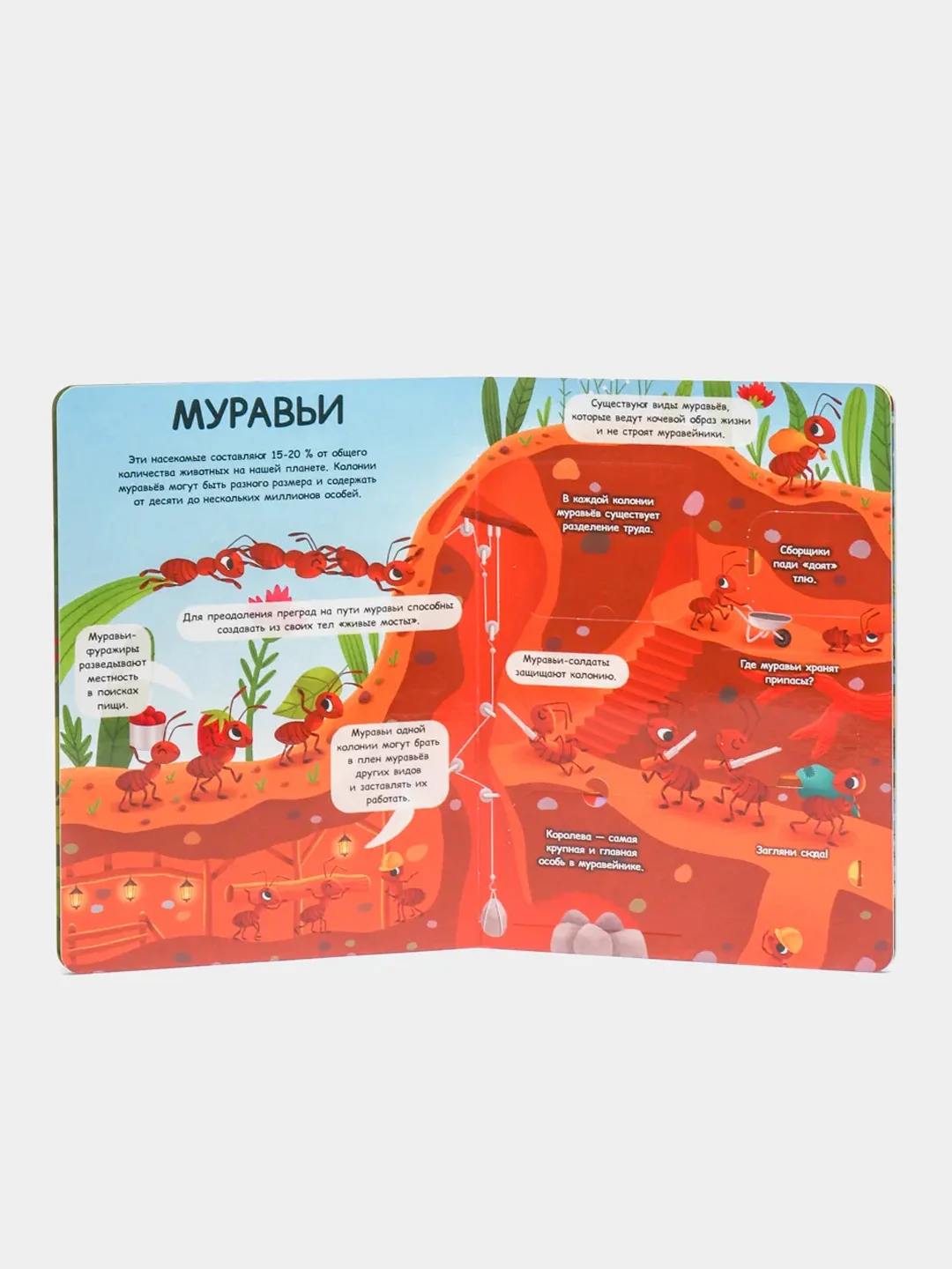 Книга картонная с окошками для детей "Насекомые" 235х315 мм. 10 стр. Проф-Пресс