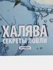 Обложка Халява. Секреты ловли
