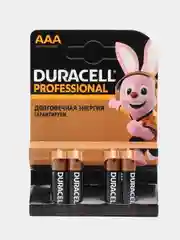 Батарейки Duracell пальчиковые АА / мизинчиковые ААА, 4 штуки