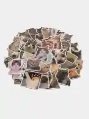 Бронзовый стикеры мемы "Котики", 50 шт